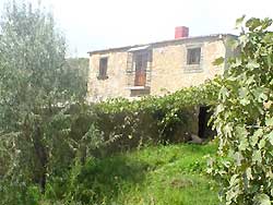 cortijo la suerte